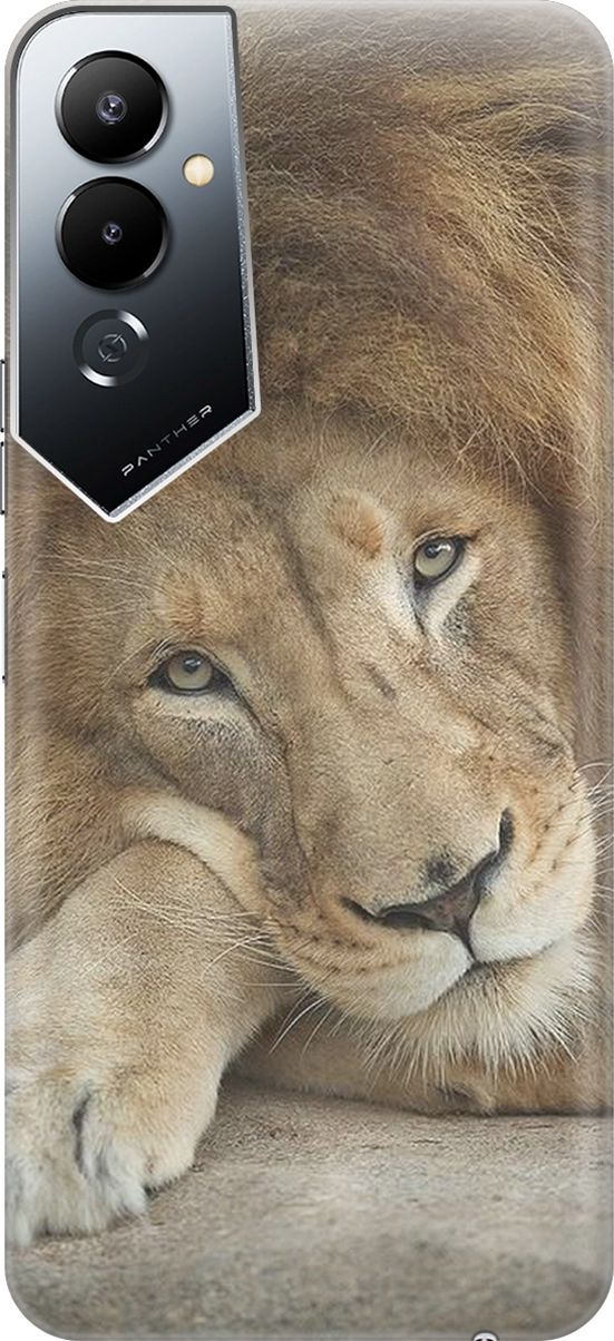 

Силиконовый чехол на Tecno Pova 4 с принтом "Спокойный лев", Желтый;оранжевый, 158041