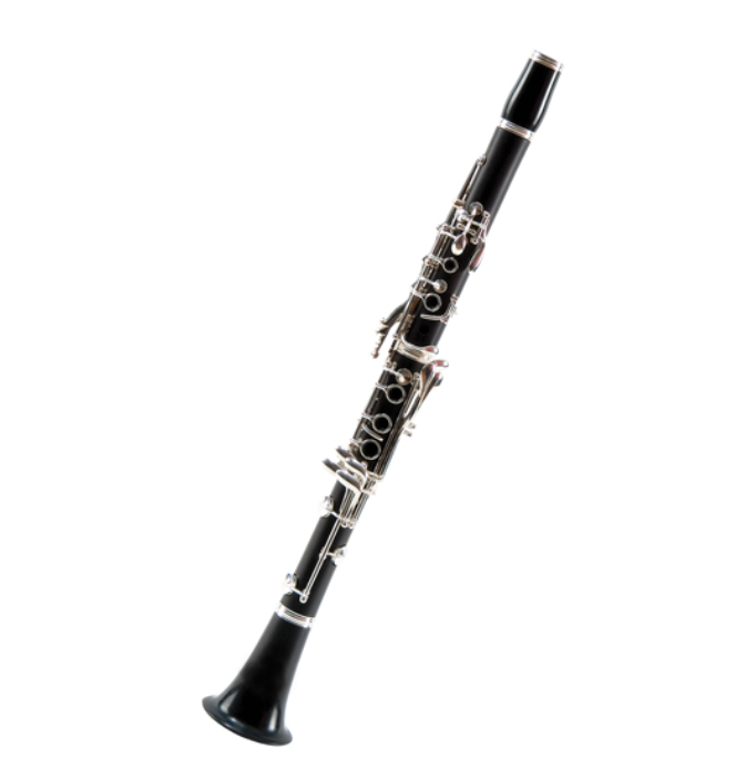 

Кларнет Bb Artemis RCL-4220S