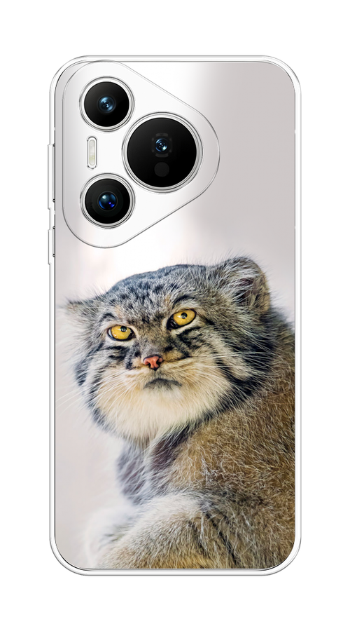

Чехол на Huawei Pura 70 "Кот манул 1", Серый;белый;желтый, 6124050-1