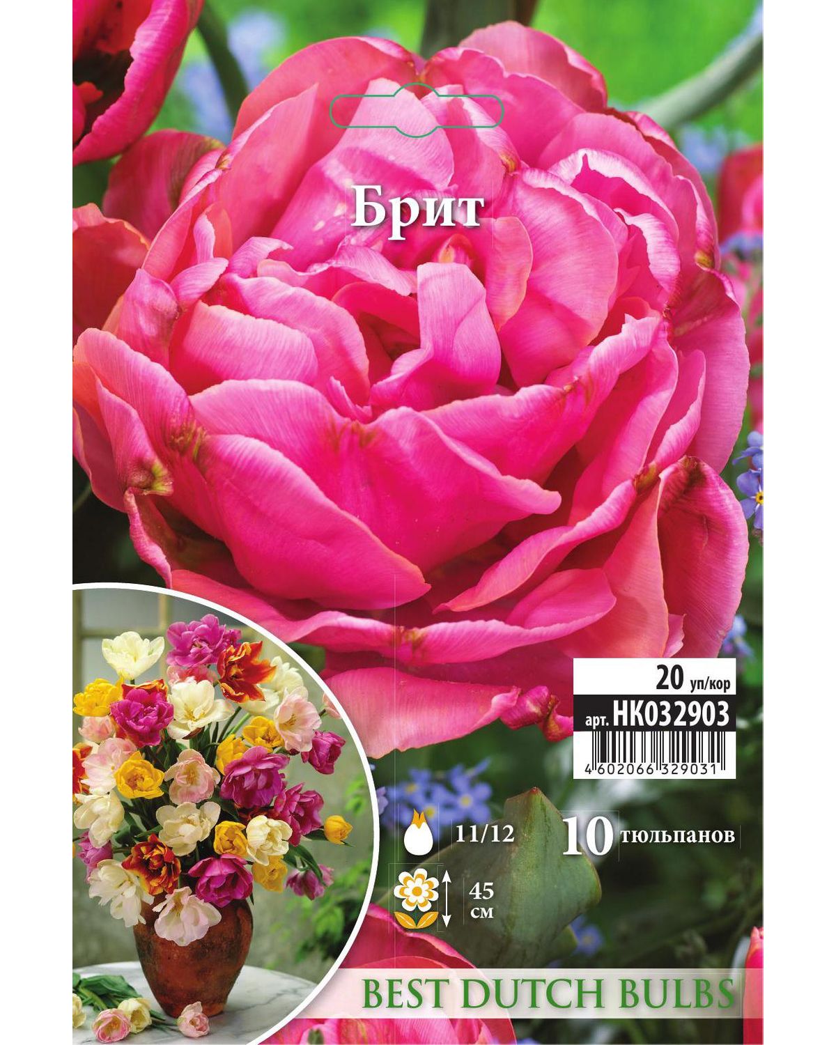 

Тюльпан Брит Русский огород НК032903