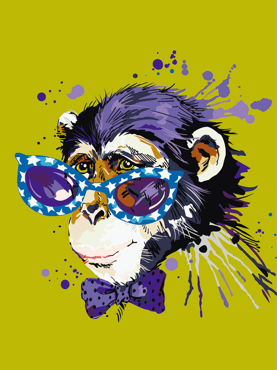 

Живопись по номерам Цветной Disсo Monkey, Disсo Monkey