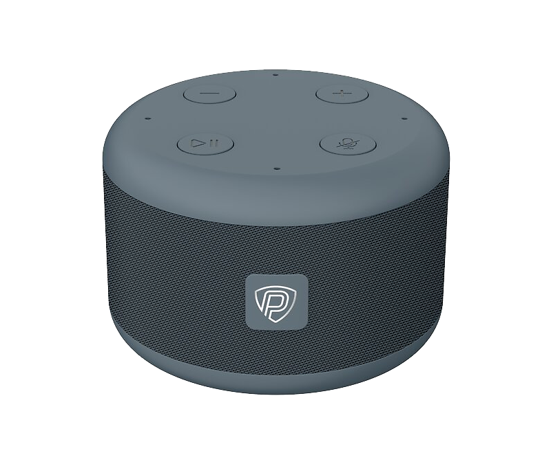 Портативная колонка Prestigio SmartVoice Grey