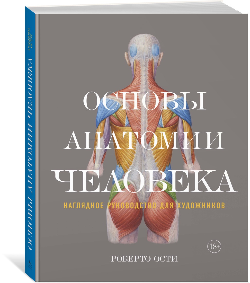 фото Книга основы анатомии человека. наглядное руководство для художников колибри