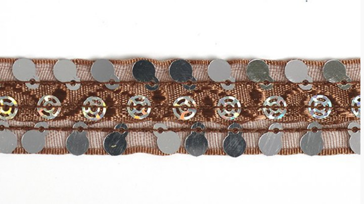 

Тесьма с пайетками, цвет: 032 коричневый, 20 мм х 18,28 м, арт. TBY.TH249.32