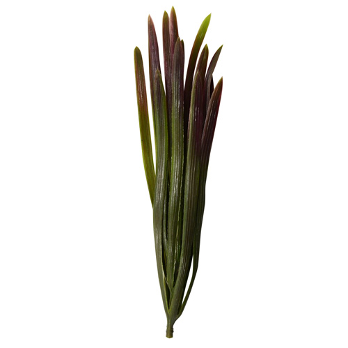 

Веточки декоративные, 21cm, 1шт/упак