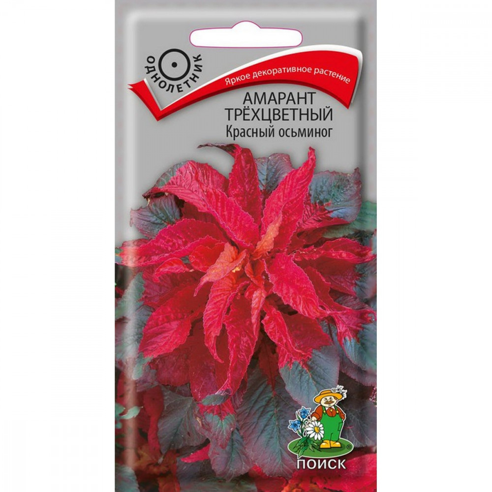 

Семена амарант Поиск Красный осьминог 714077 1 уп.