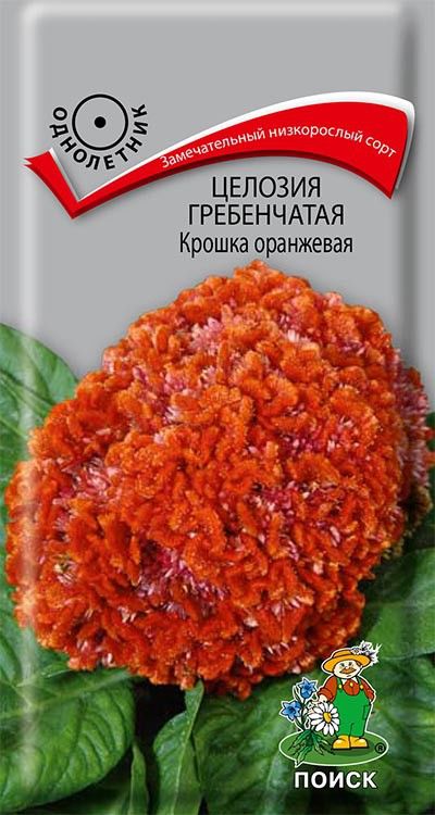

Семена целозия Поиск Крошка оранжевая 701534 1 уп.