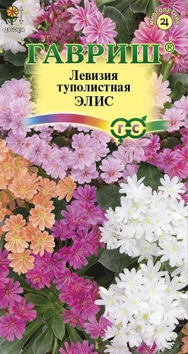 

Семена левизия Гавриш Элис 1026995630 1 уп.