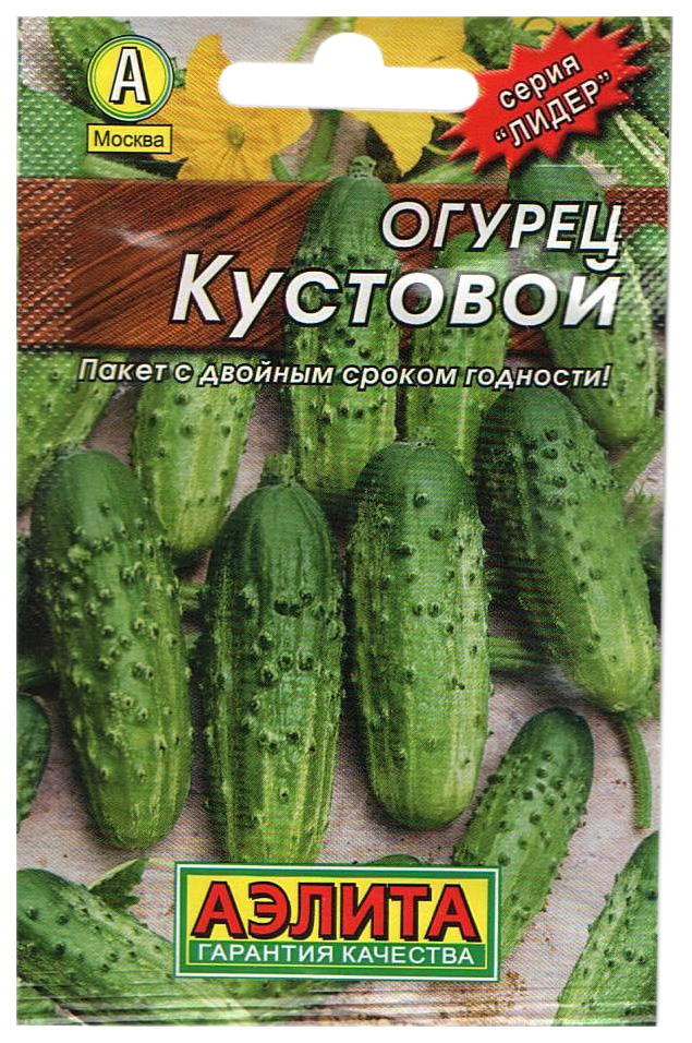 Семена огурец кустовой. Кустовые сорта огурцов.