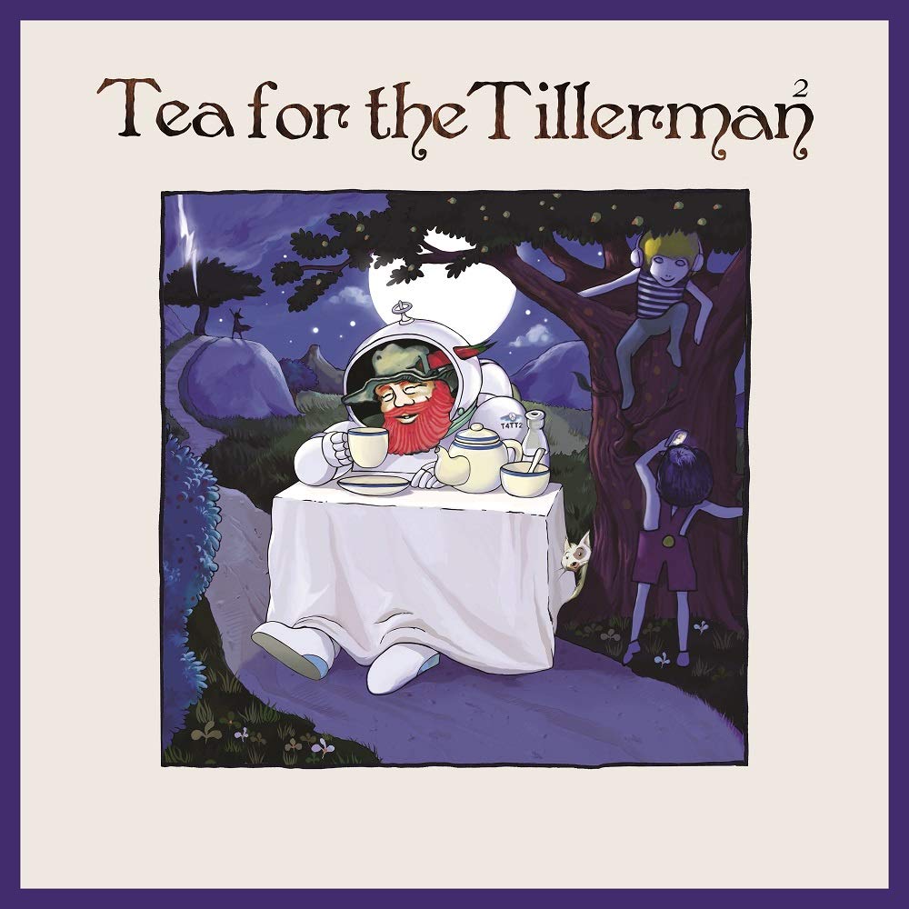 фото Yusuf; cat stevens tea for the tillerman 2 мистерия звука