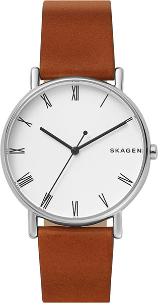 фото Наручные часы кварцевые мужские skagen skw6427