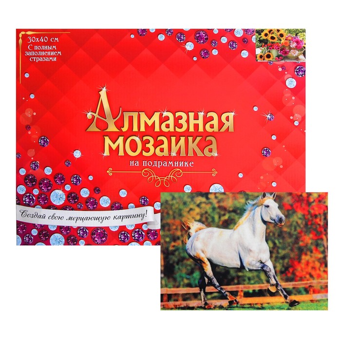 

Алмазная мозаика с полным заполнением 30 × 40 см «Скачущая лошадь»