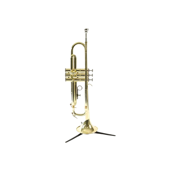 

Труба Bb CarolBrass CTR-1000H-YSS-Bb-L
