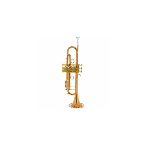 

Труба Bb CarolBrass CTR-3050H-YSS-Bb-L