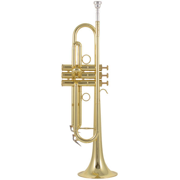 

Труба Bb CarolBrass CTR-5000L-YST-Bb-L