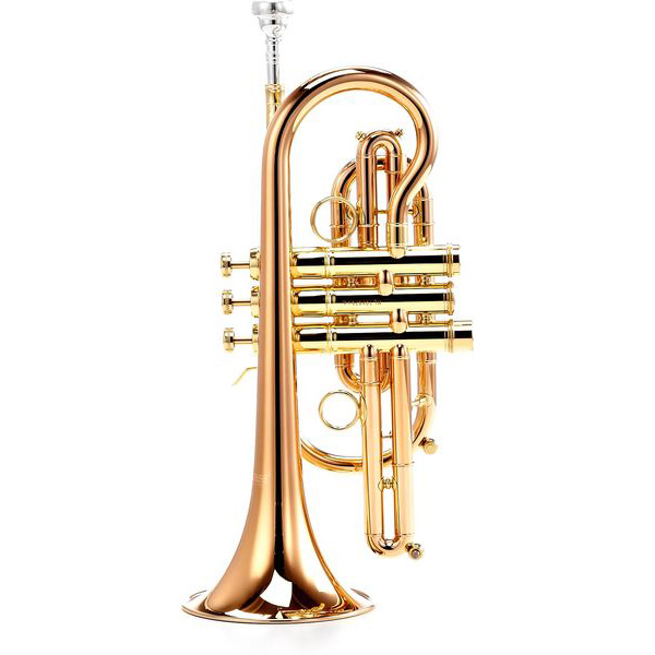 

Труба Bb CarolBrass CTR-5060H-YSS-Bb-L