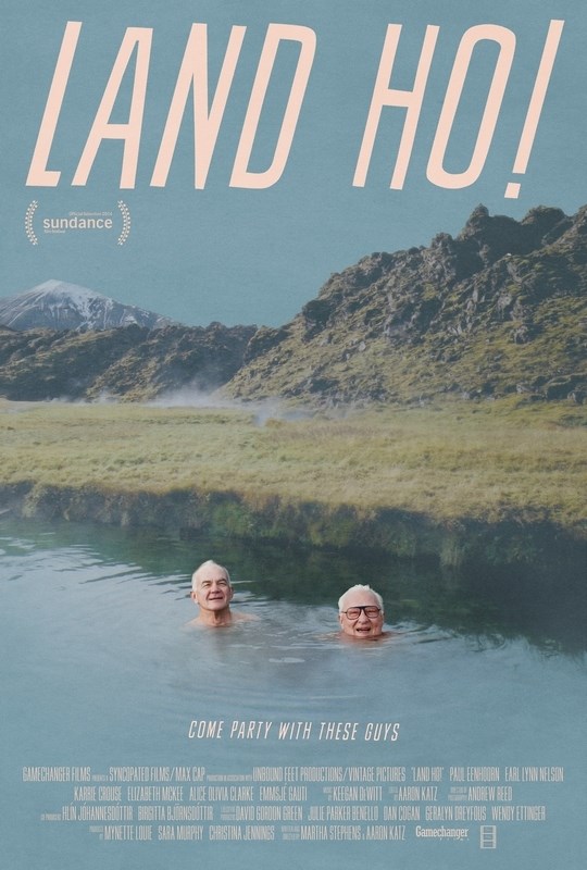 

Постер к фильму "Земля Хо!" (Land Ho!) A3