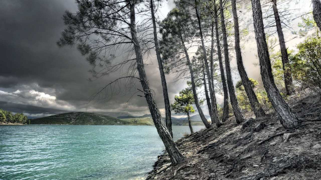 

Картина на холсте 60x110 LinxOne Природа, пейзаж, натура, флора