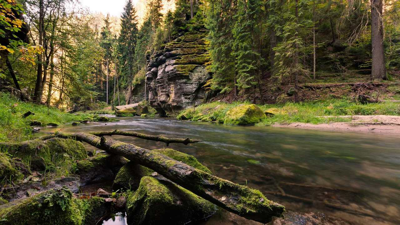 

Картина на холсте 60x110 LinxOne Природа, пейзаж, натура, флора