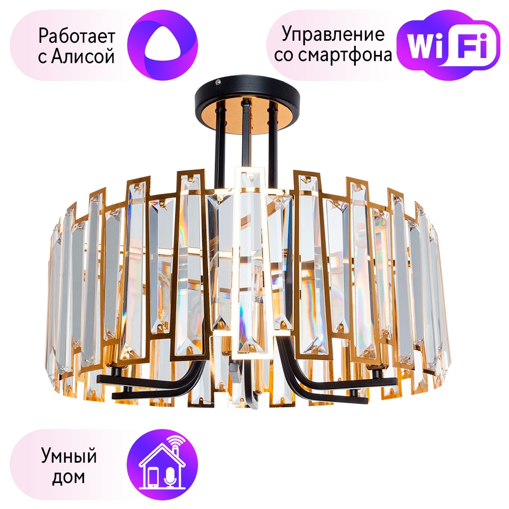 

Потолочная люстра Arte Lamp Amber с поддержкой Алиса A1028PL-6BK-A