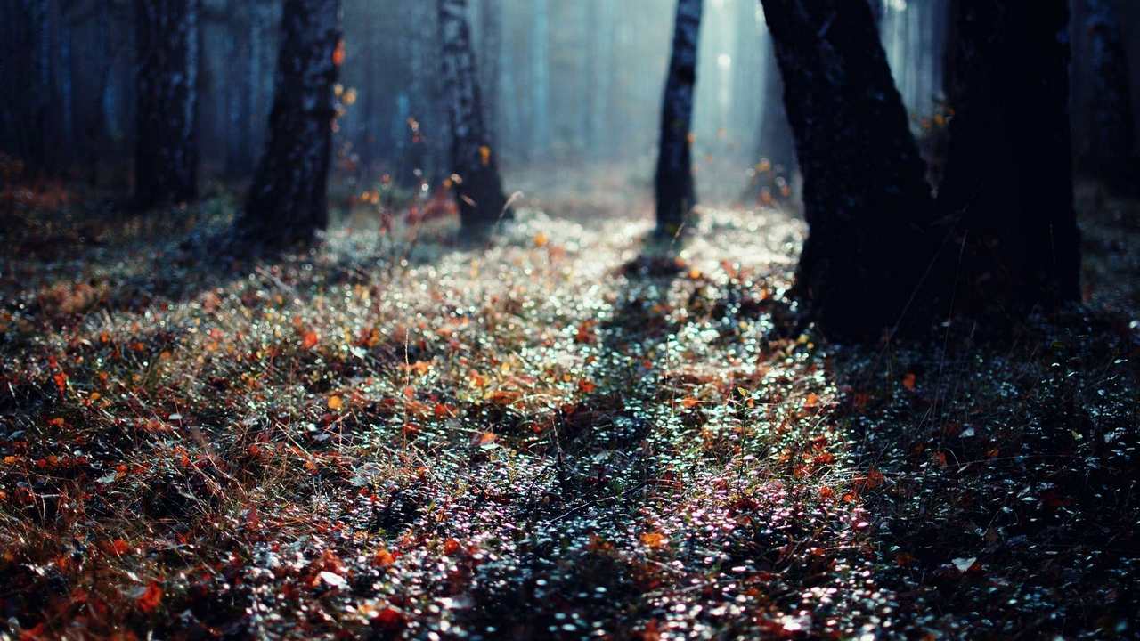 

Картина на холсте 60x110 LinxOne Природа, пейзаж, натура, флора