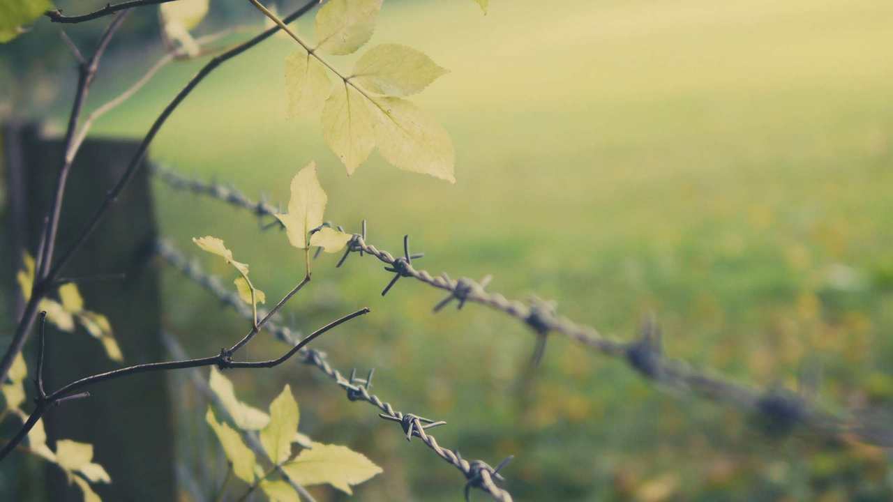 

Картина на холсте 60x110 LinxOne Природа, пейзаж, натура, флора