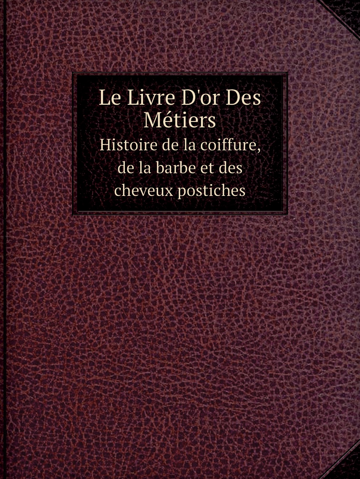 

Le Livre D'or Des Metiers