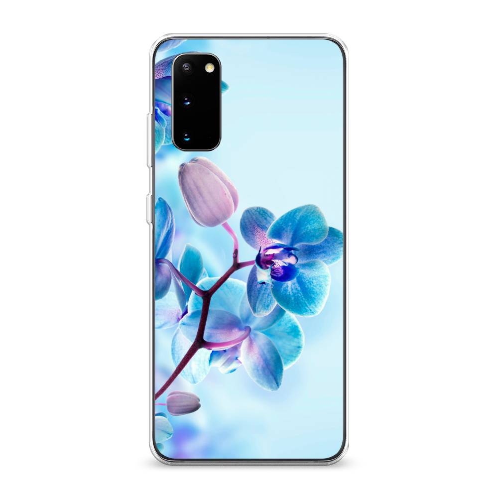 

Чехол Awog на Samsung Galaxy S20 "Голубая орхидея", Разноцветный, 29250-8