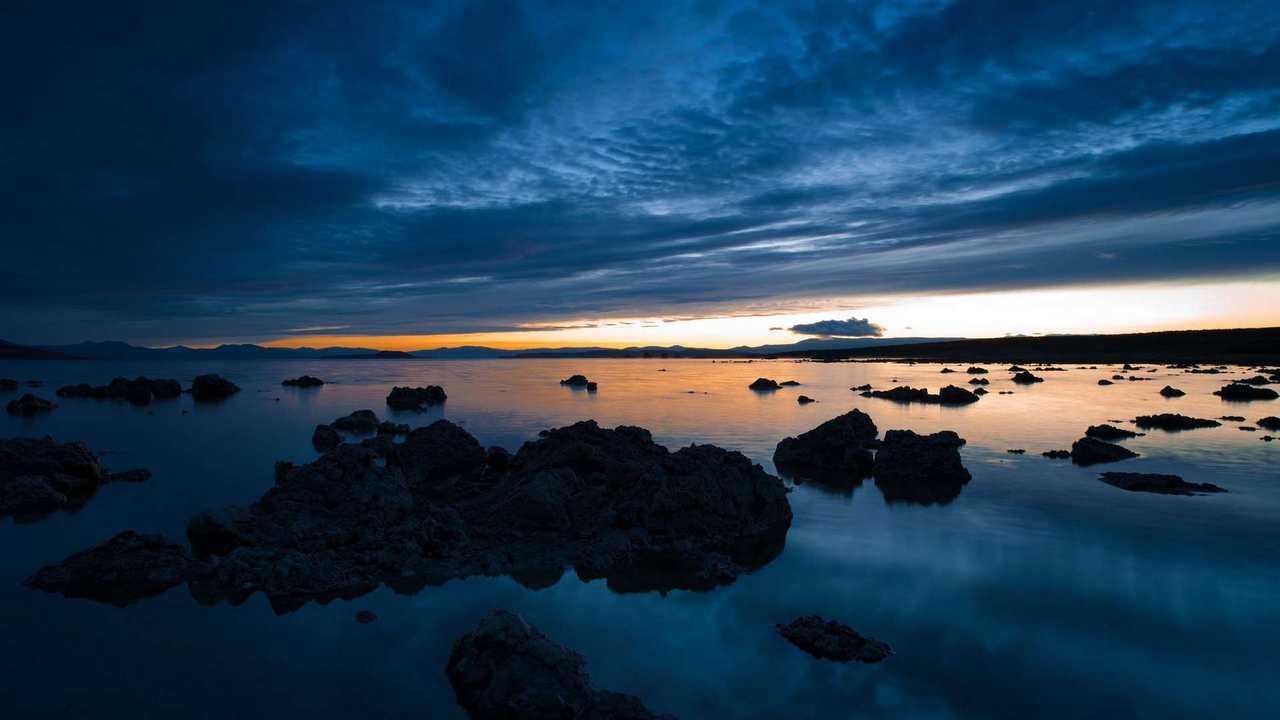 

Картина на холсте 60x110 LinxOne Природа, пейзаж, натура, флора