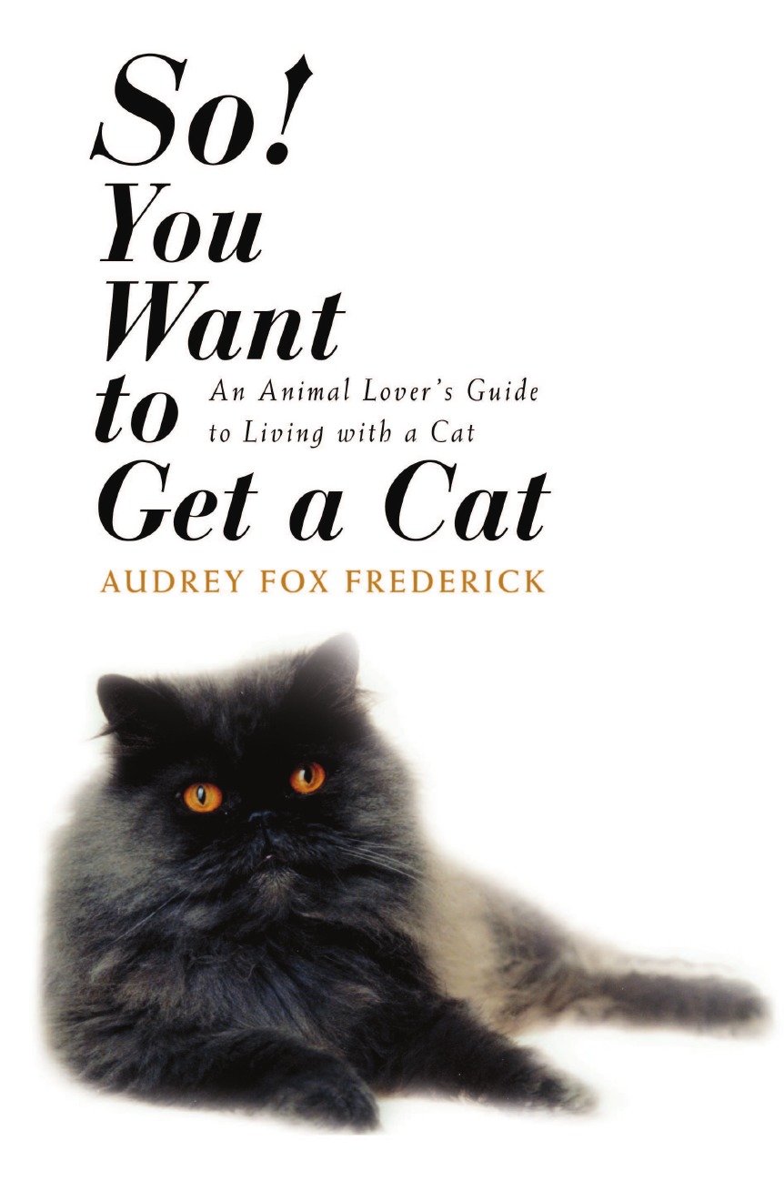 

So! You Want to Get a Cat