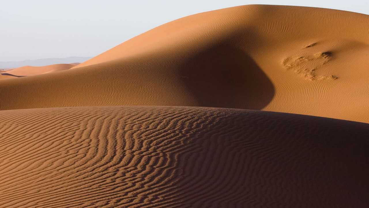 

Картина на холсте 60x110 LinxOne Природа, пейзаж, натура, флора