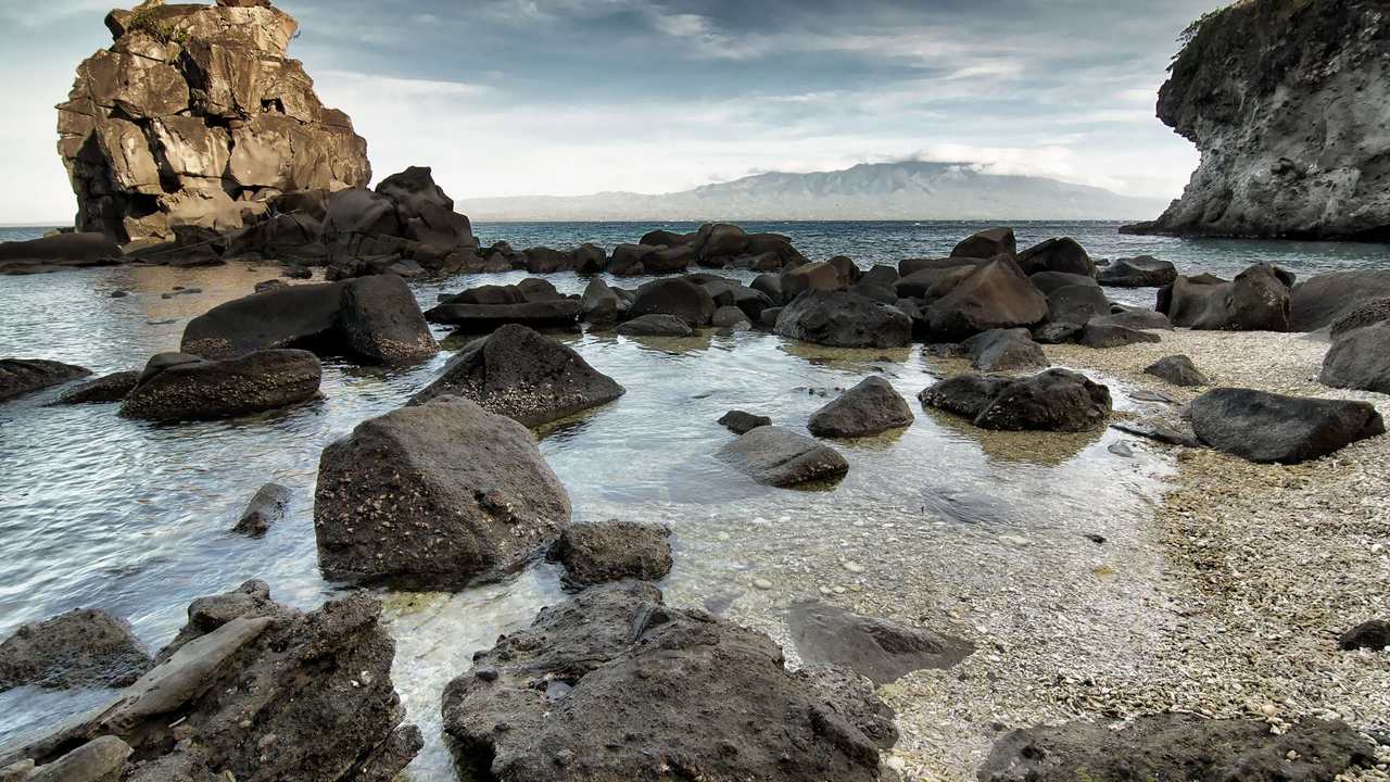 

Картина на холсте 60x110 LinxOne Природа, пейзаж, натура, флора