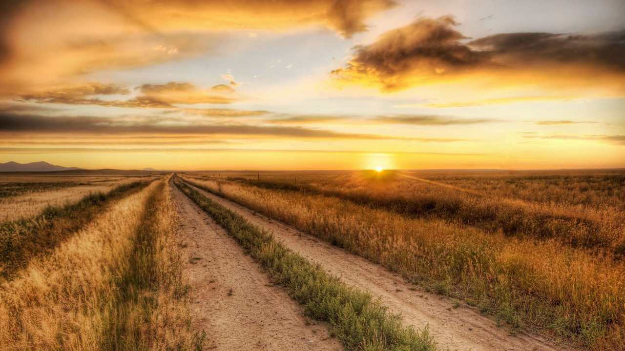 

Картина на холсте 60x110 LinxOne Природа, пейзаж, натура, флора
