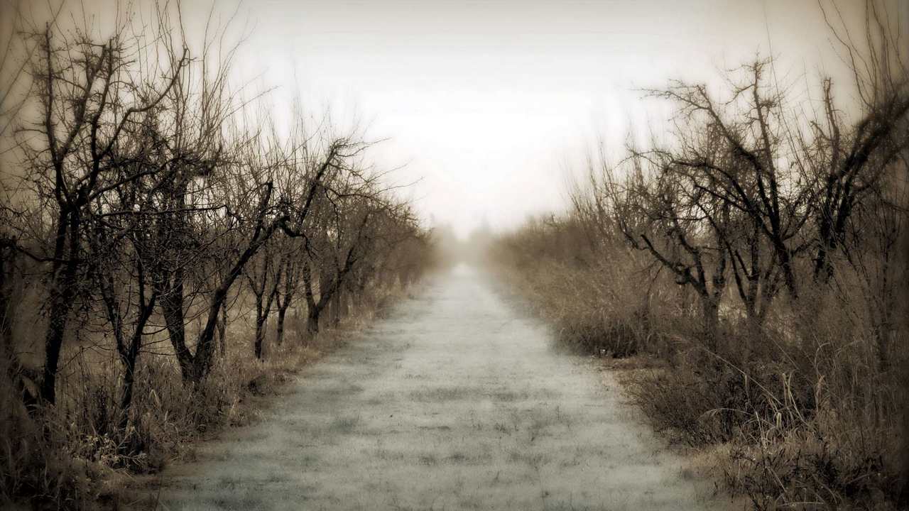 

Картина на холсте 60x110 LinxOne Природа, пейзаж, натура, флора