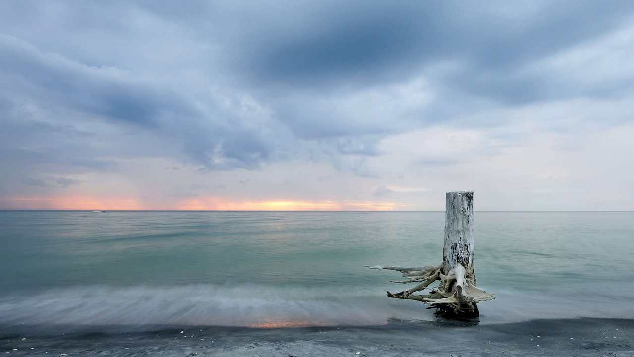 

Картина на холсте 60x110 LinxOne Природа, пейзаж, натура, флора