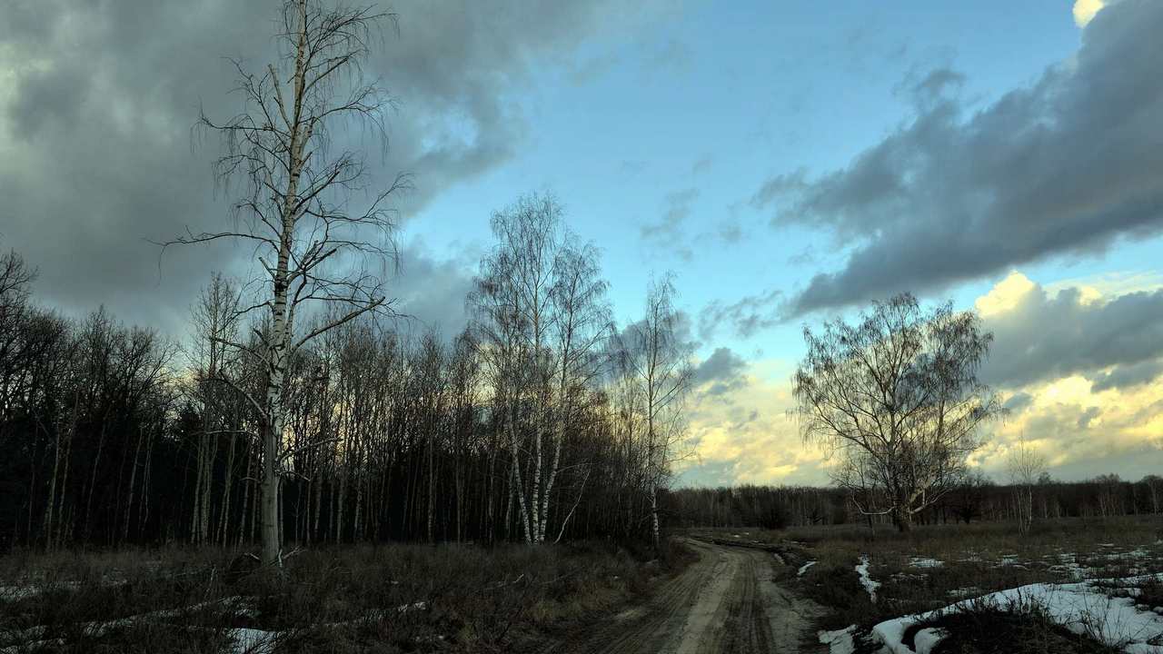 

Картина на холсте 60x110 LinxOne Природа, пейзаж, натура, флора