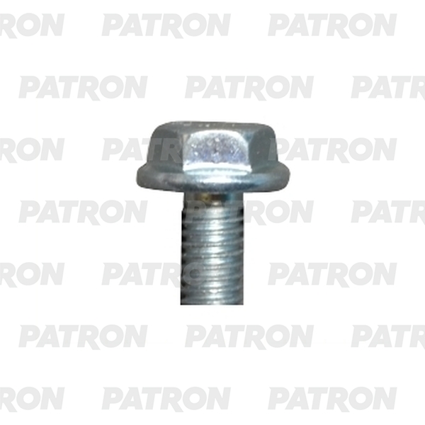 PATRON P37-3131T Болт металлический белый M10X40  10шт