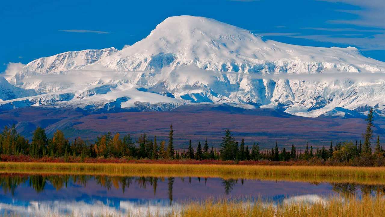 

Картина на холсте 60x110 LinxOne Природа, пейзаж, натура, флора