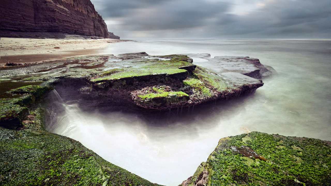 

Картина на холсте 60x110 LinxOne Природа, пейзаж, натура, флора