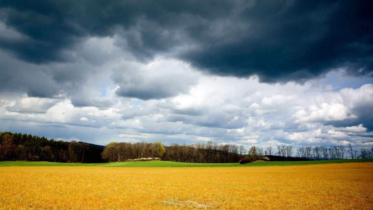 

Картина на холсте 60x110 LinxOne Природа, пейзаж, натура, флора