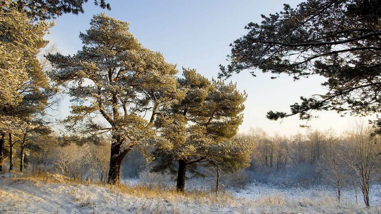 

Картина на холсте 60x110 LinxOne Природа, пейзаж, натура, флора