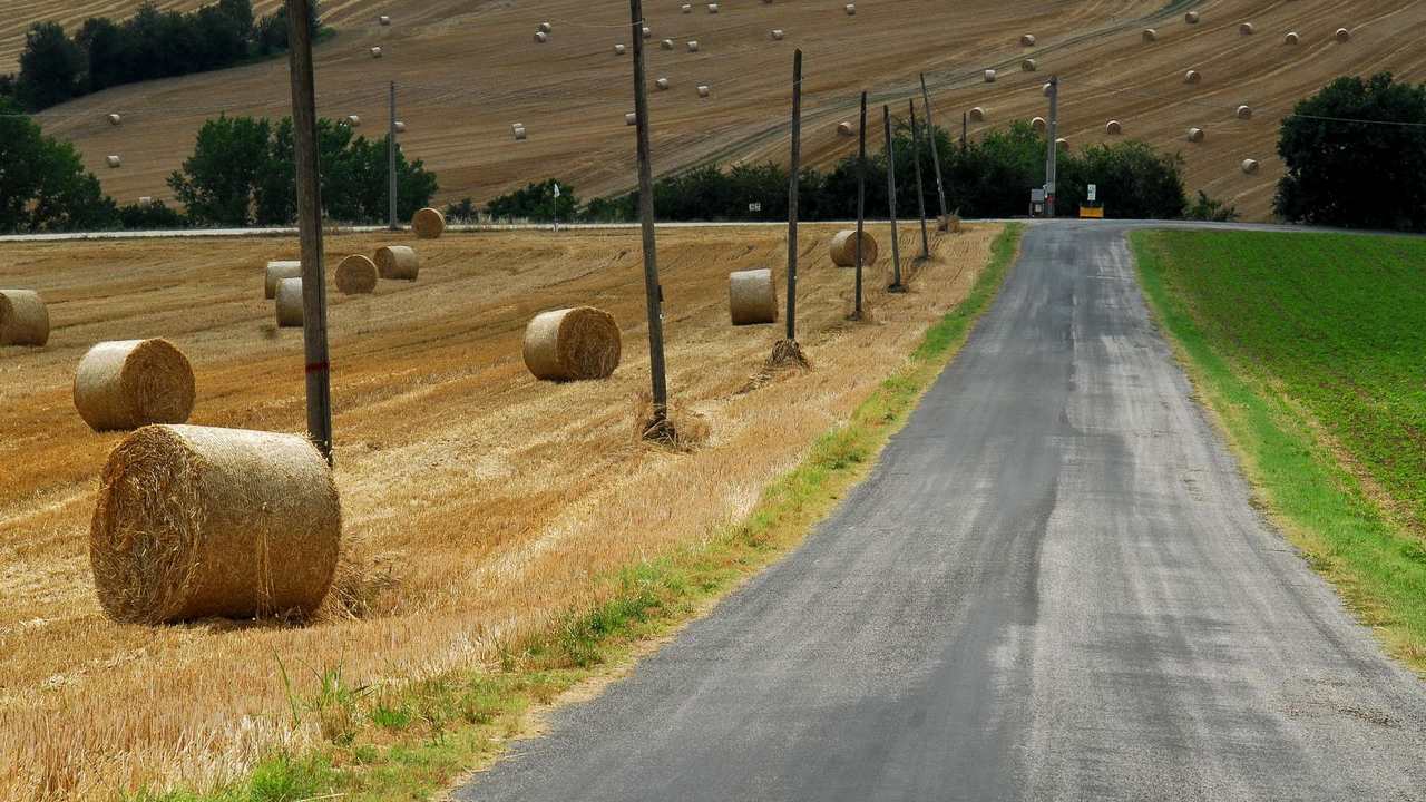 

Картина на холсте 60x110 LinxOne Природа, пейзаж, натура, флора