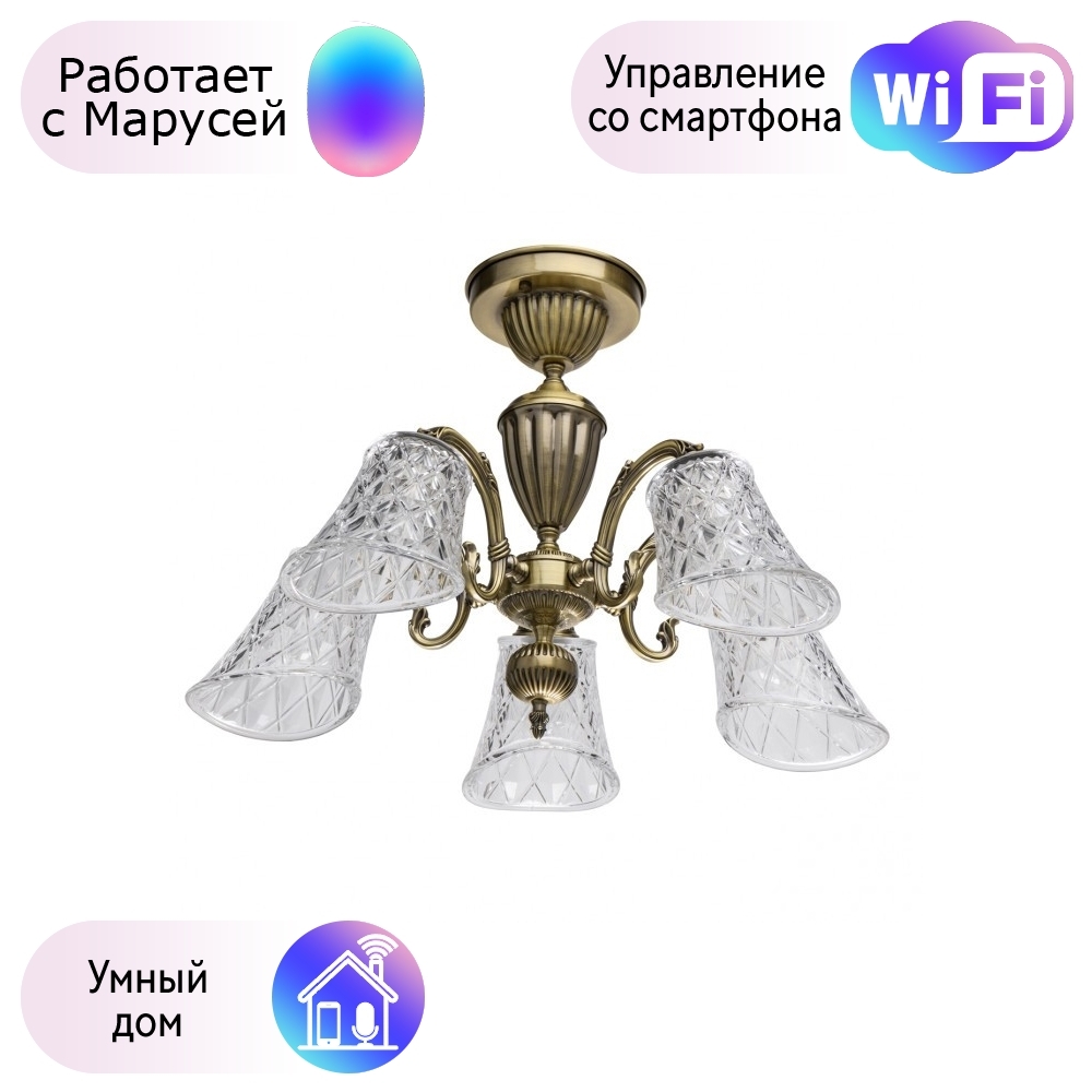 

Потолочная люстра MW-Light Ариадна с поддержкой Маруся 450019105-М