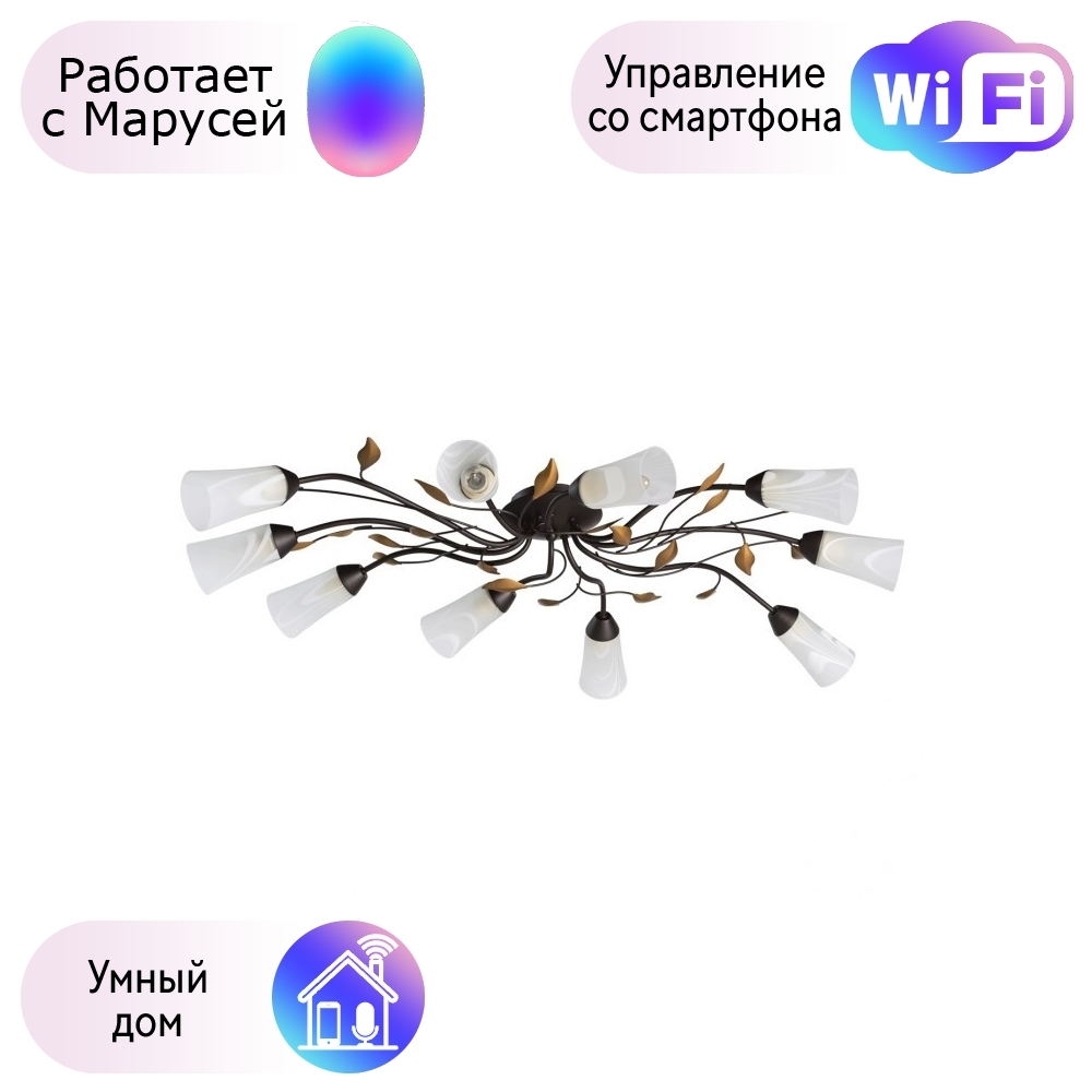 Потолочная люстра MW-Light Восторг с поддержкой Маруся 242015410-М