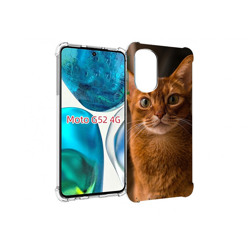 

Чехол MyPads порода кошки абисинская для Motorola Moto G82 / Moto G52, Прозрачный, Tocco