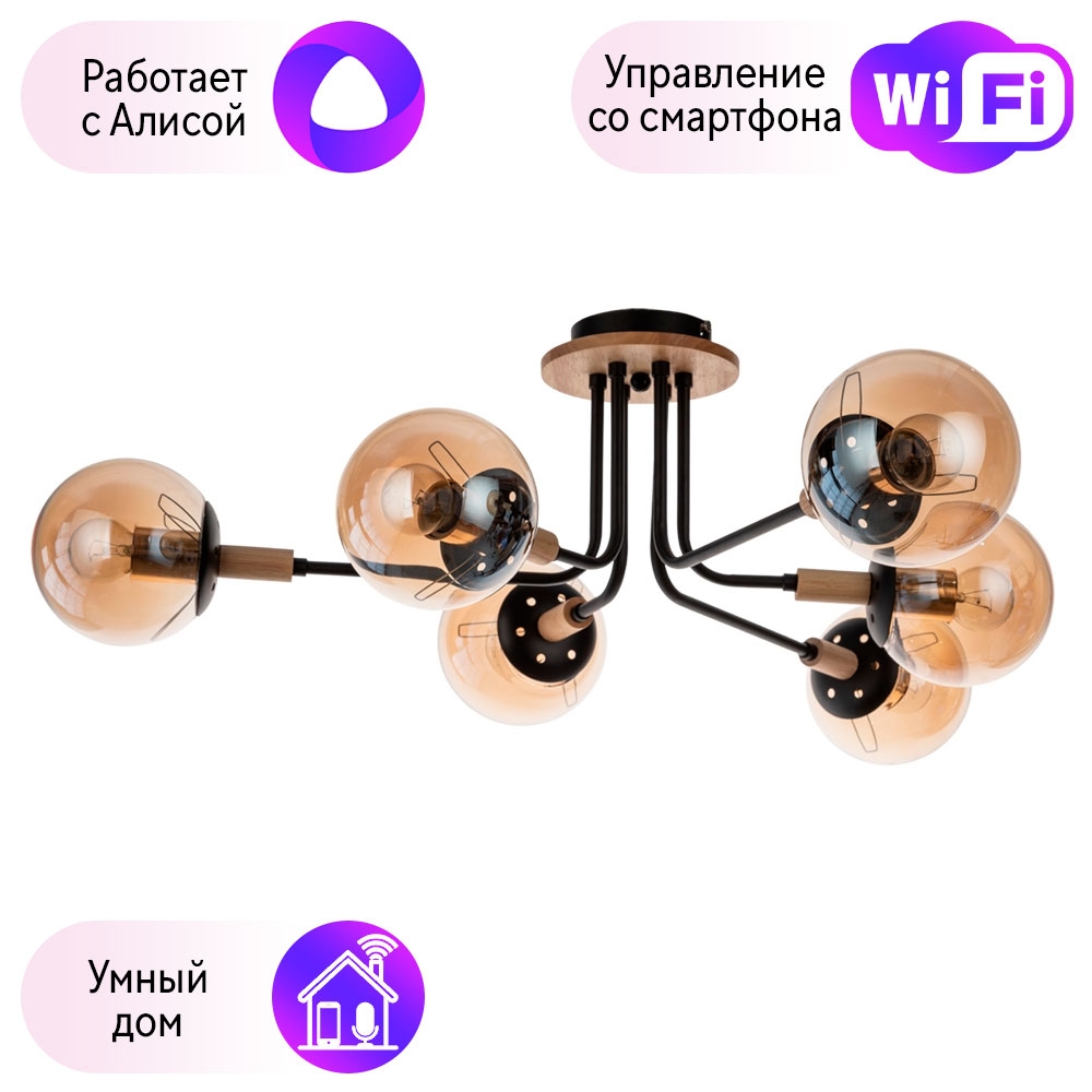 

Потолочная люстра Oxford Arte lamp с поддержкой Алиса A2716PL-6BK-A
