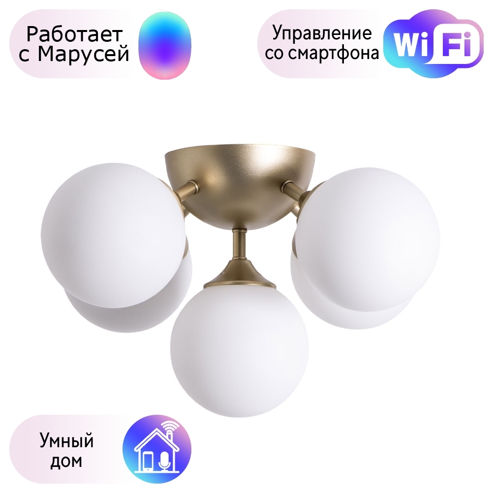 

Потолочная люстра Arte lamp Fobos с поддержкой Маруся A2704PL-5SG-М