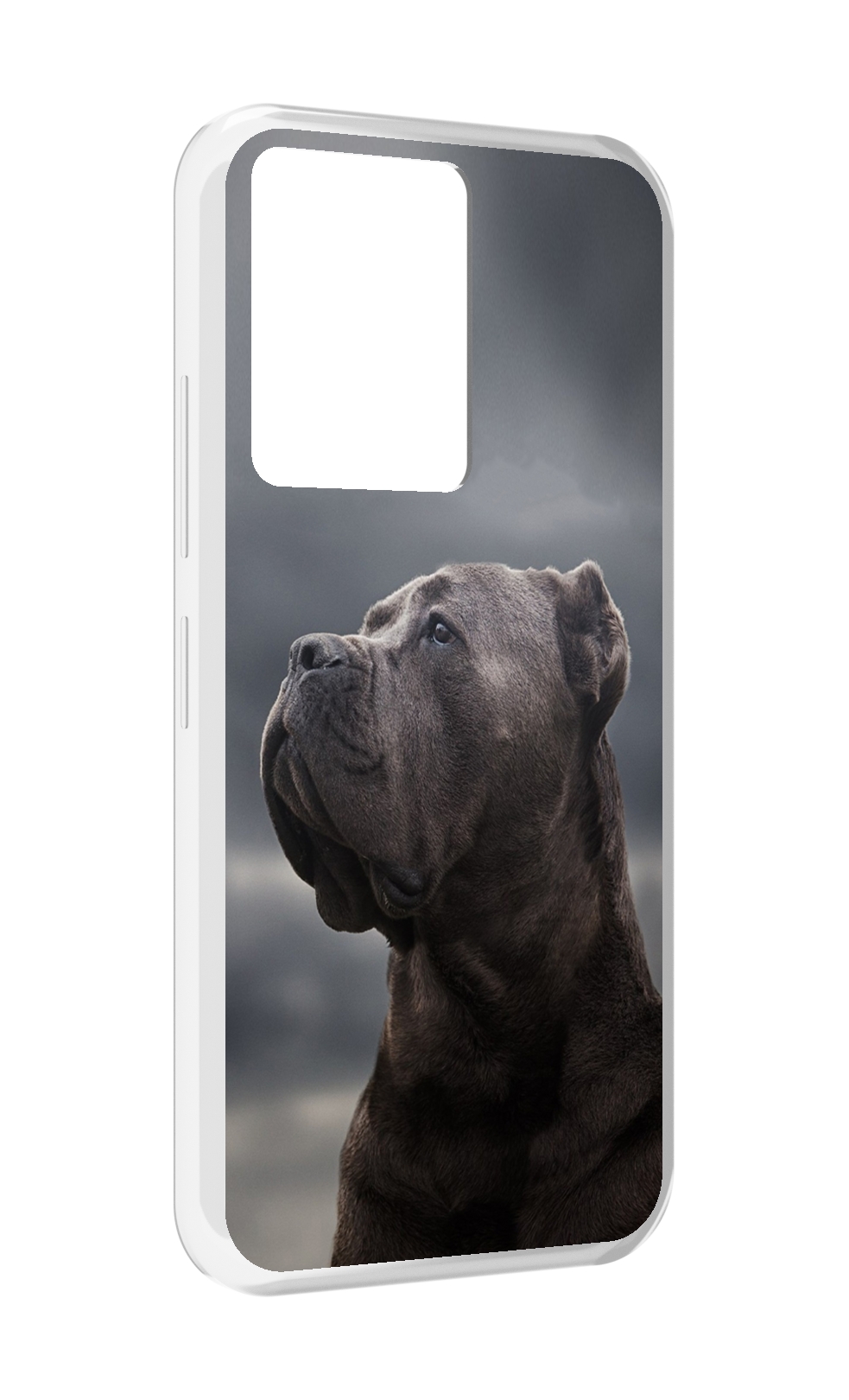 

Чехол MyPads кане корсо для Infinix Note 12 5G X671 / Note 12 Pro 5G, Прозрачный, Tocco