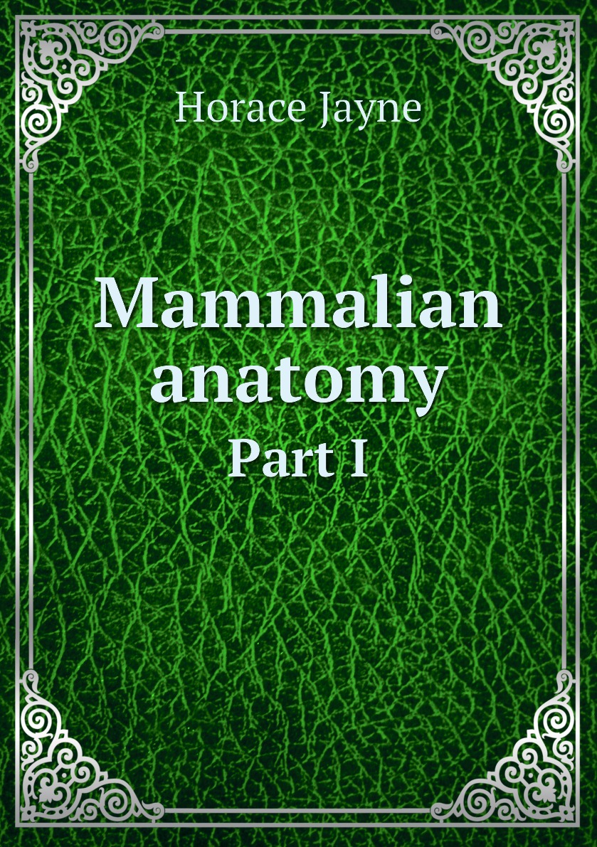 

Mammalian anatomy