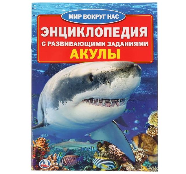 

Умка Энциклопедия Умка Акулы